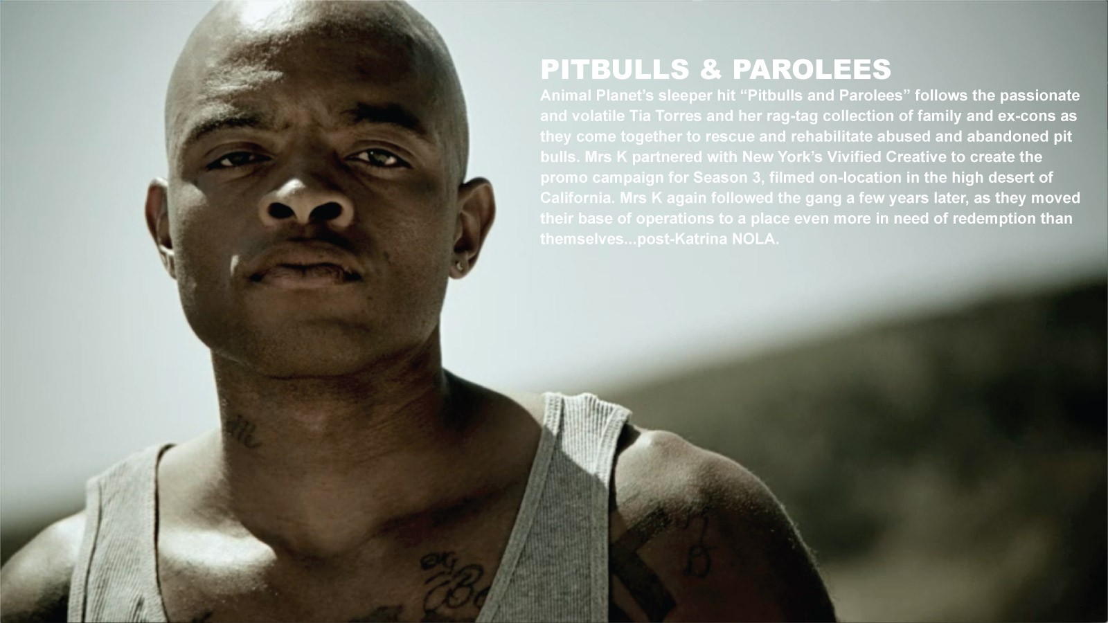 Pitbulls And Parolees New Season 2025 Rubi Wileen